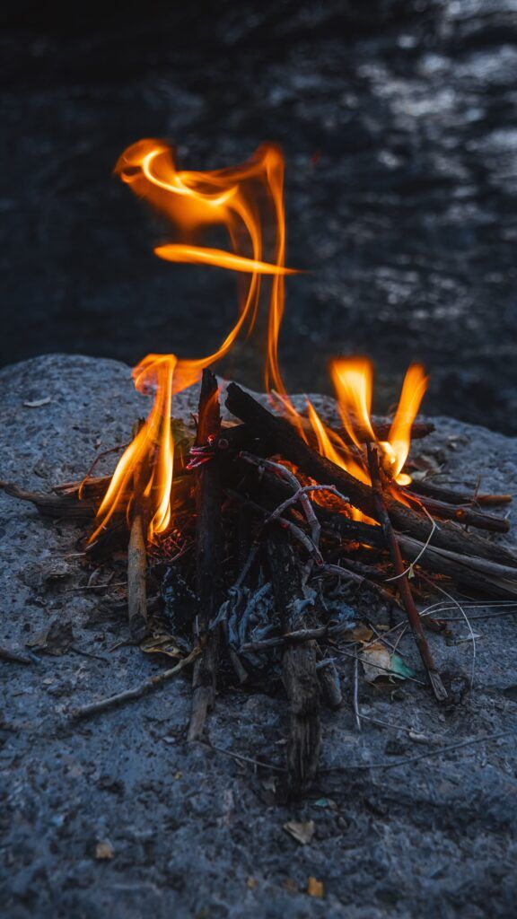 burning firewood with cinnamon sticks - imagination from smelling labdanum 2