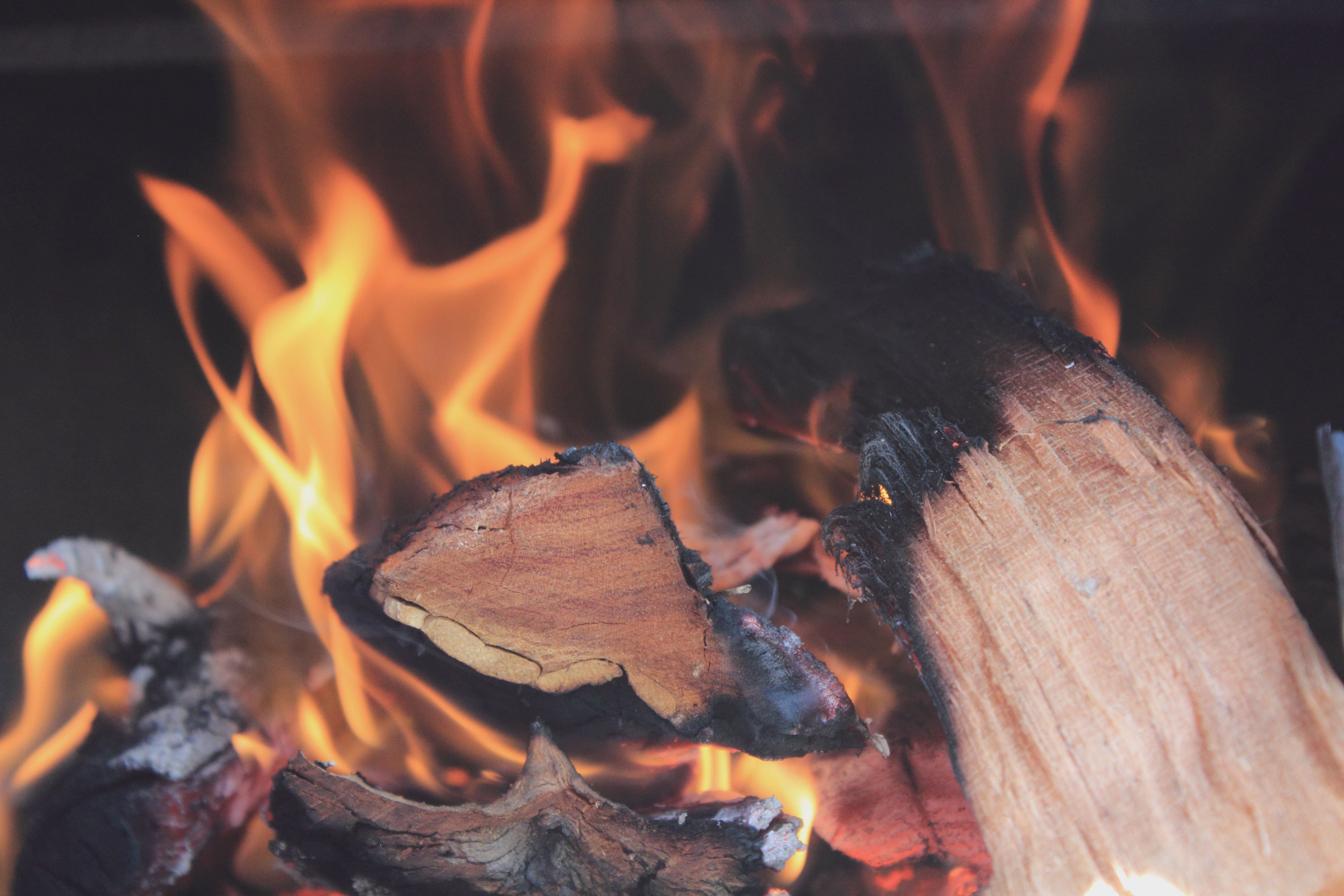 burning firewood with cinnamon sticks - imagination from smelling labdanum