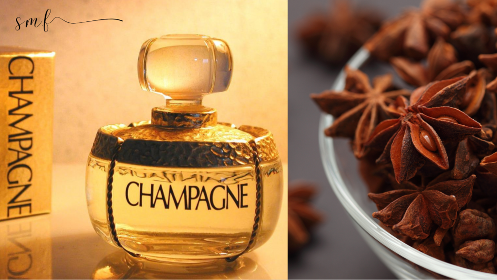 star anise - champagne ysl (1)