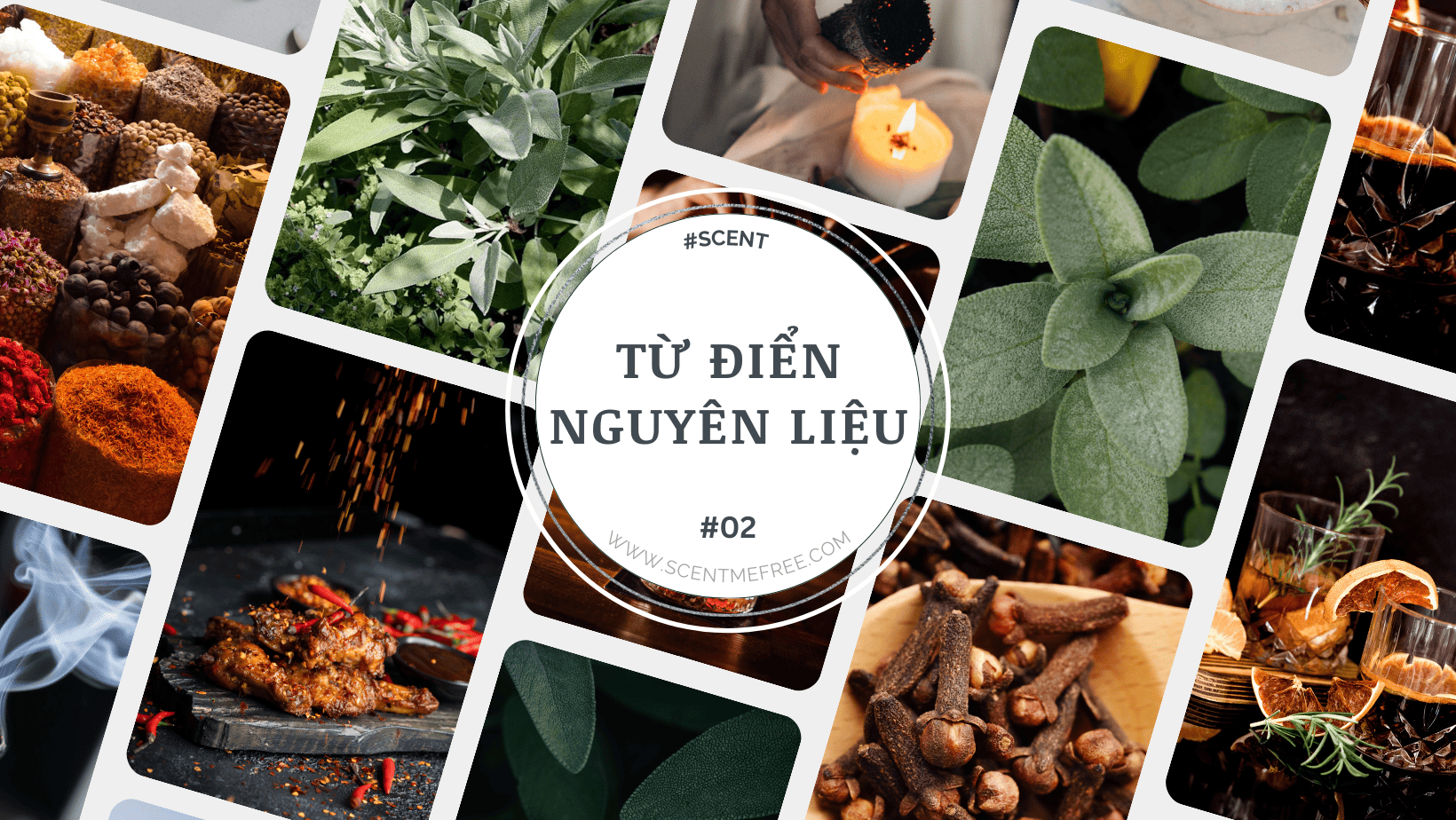 từ điển nguyên liệu 2