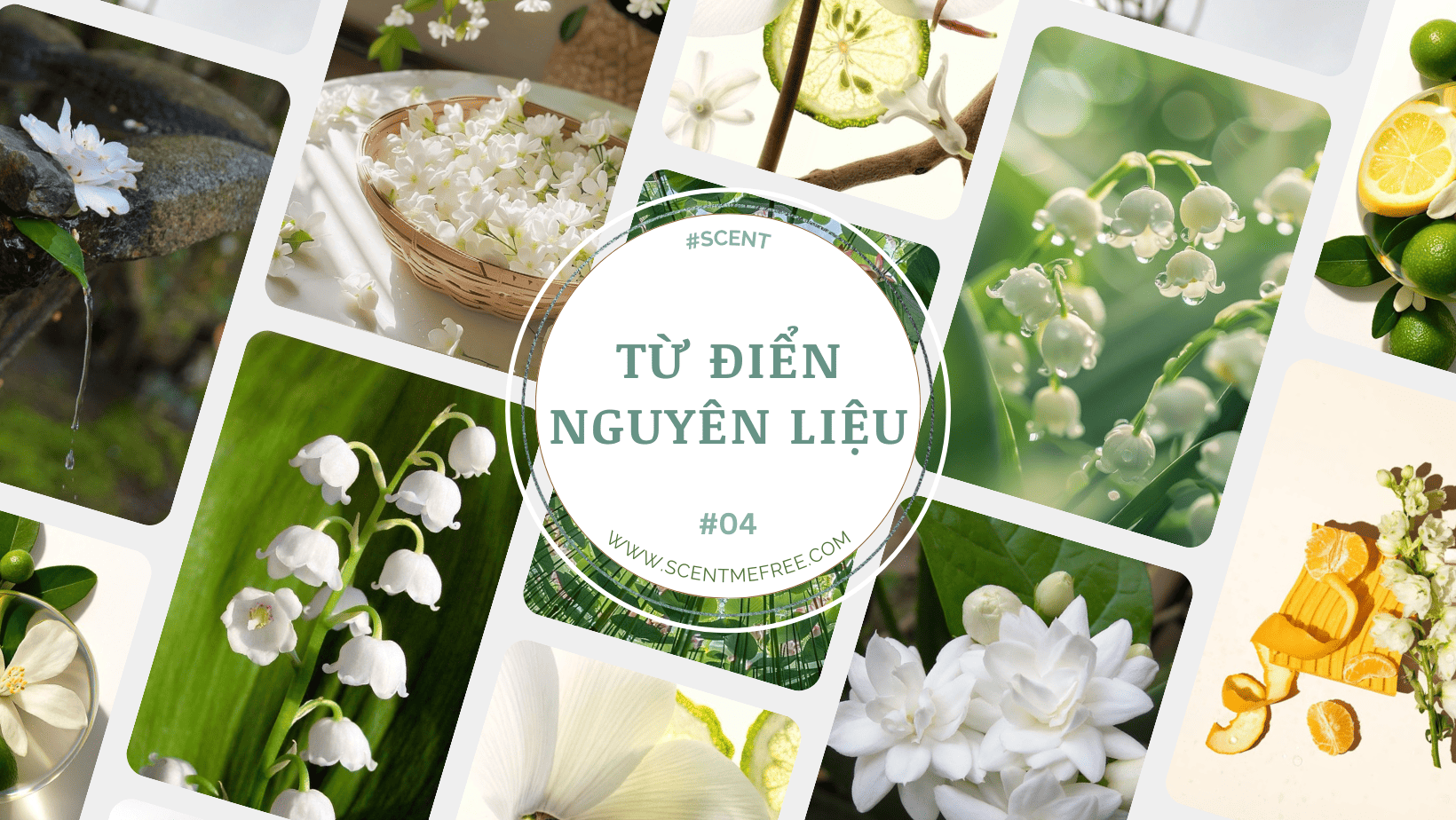 TỪ ĐIỂN NGUYÊN LIỆU PHẦN 4