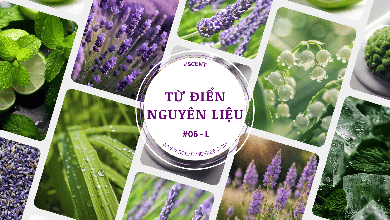 Từ điển nguyên liệu nước hoa – Phần 5
