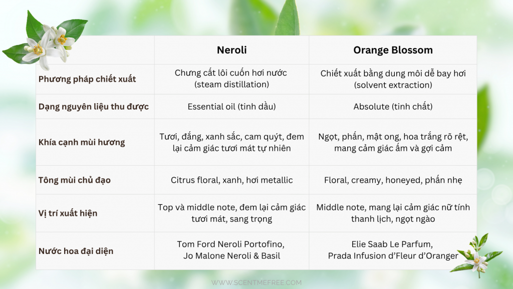 bảng so sánh neroli & orange blossom