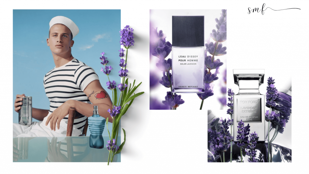 lavender n perfumes