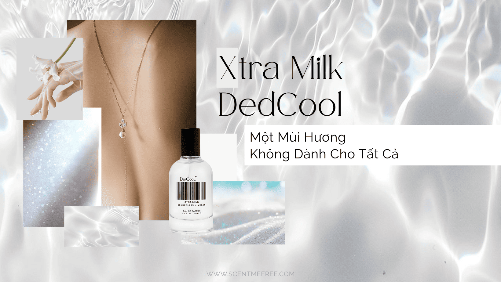 banner review xtra milk dedcool