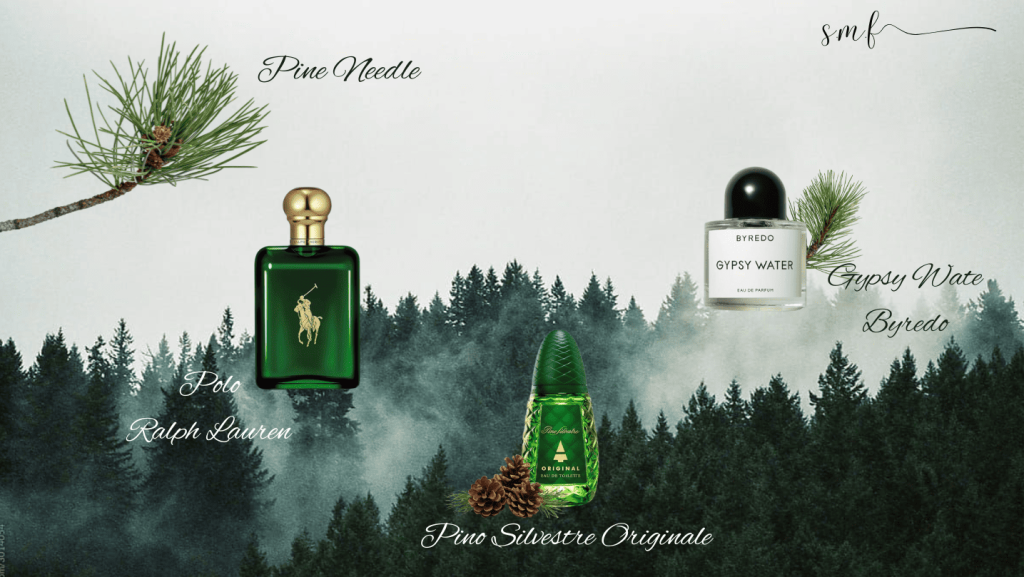 pine needle oil - lá thông