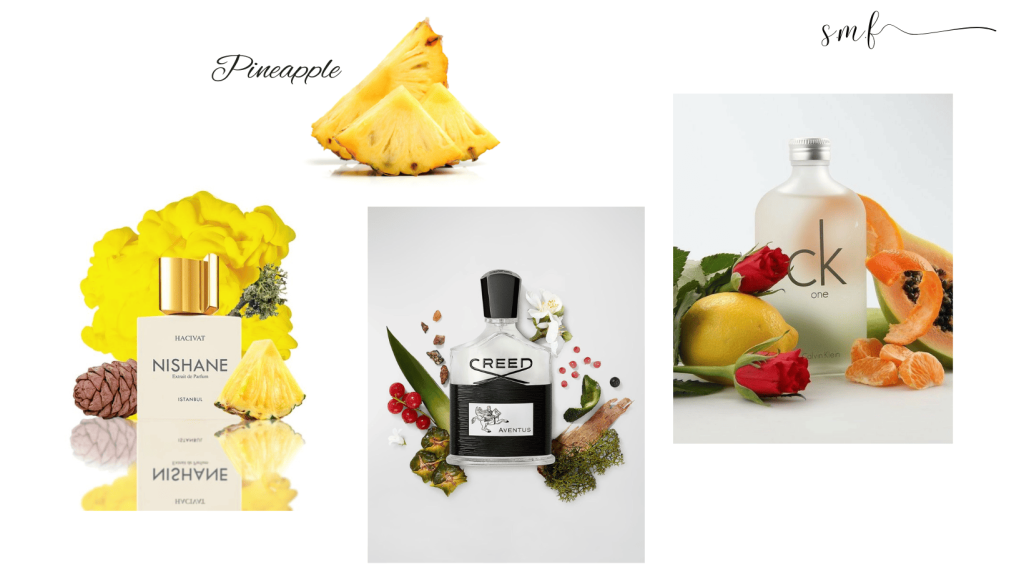 pineapple khóm thơm dứa